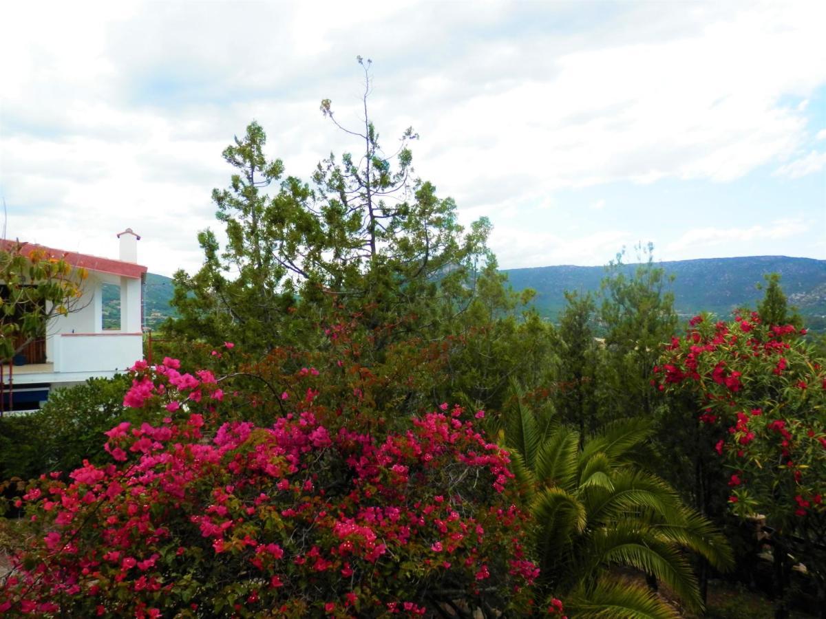 Casa Li Scopi - Mountain View Apartment San Teodoro  Exterior photo